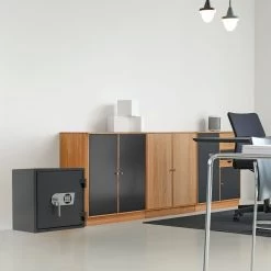 Secureo Feuerschutztresor Raptor Pro 1 -Burg Wächter Store 10 SEC RAPTOR PRO 1 0uoci6Sv