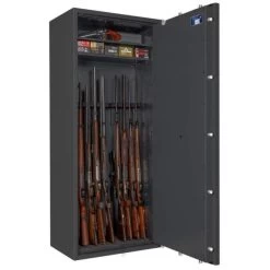 Format Waffenschrank Capriolo II (Klasse 0) -Burg Wächter Store FT CaprioloII Klasse FfD1Adjy