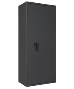 Format Wertschutzschrank Lyra 16 (Klasse 0) -Burg Wächter Store FT Lyra16 EN 0 05 E4iluEtH