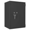 Format Wertschutzschrank Pegasus Pro 375 -Burg Wächter Store FT PegasusPro375 02 biY65uRP