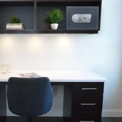 Secureo Kurzwaffentresor Harrier 1